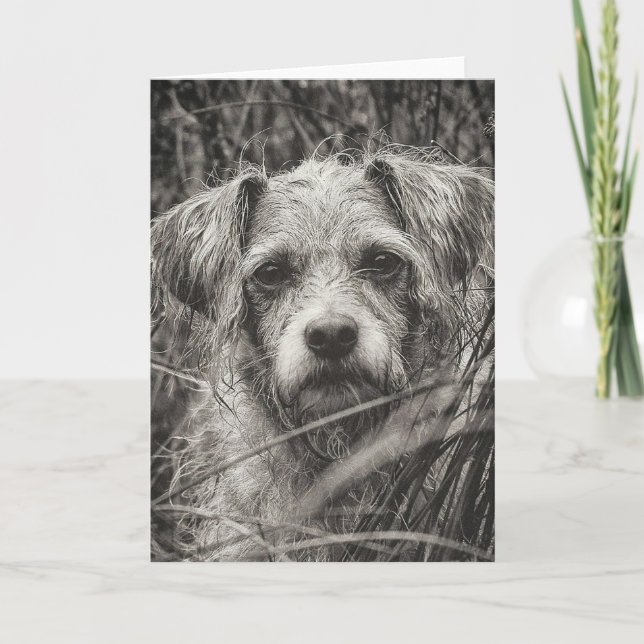 Tarjeta Fotografía de retrato blanco y negro de cachorro s (Anverso)