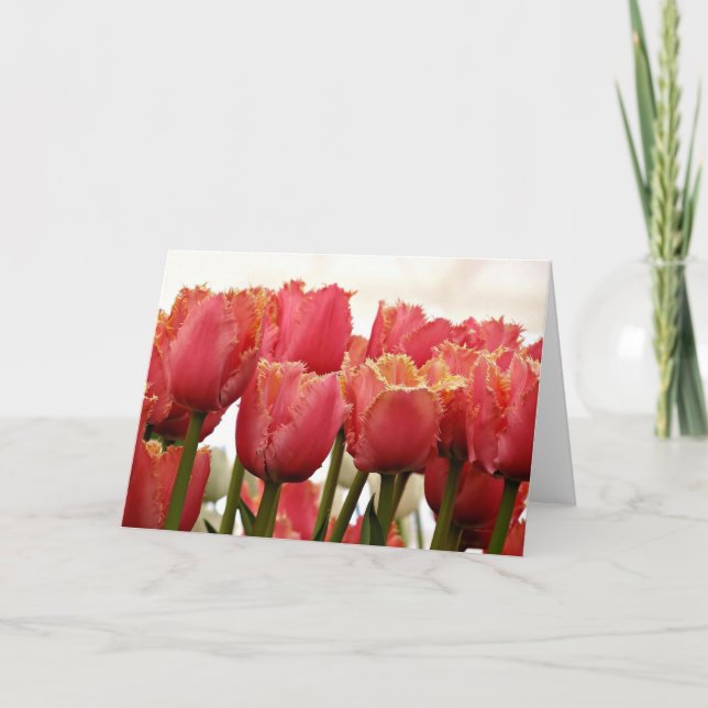 Tarjeta Fotografía de Tulips | Coral y oro fringados (Anverso)