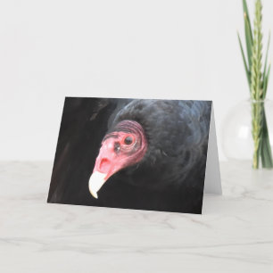 Tarjeta Fotografía de Turquía Vulture