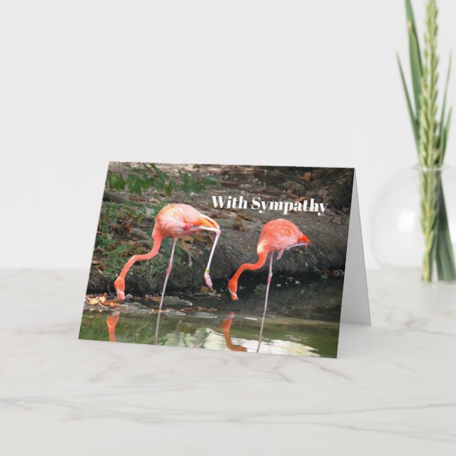 Tarjeta Fotografía de vida salvaje Par Flamingo Rosa (Anverso)