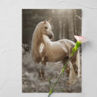 Fotografía del caballo de Palomino