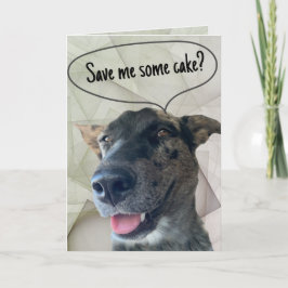 Tarjeta Fotografía divertida de perro de ganado gris atigr