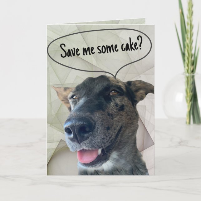 Tarjeta Fotografía divertida de perro de ganado gris atigr (Anverso)