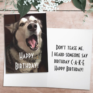 Tarjeta Fotografía divertida de un perro Alaskan Malamute