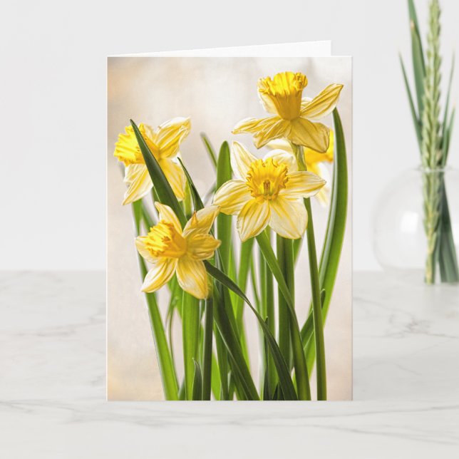 Tarjeta Fotografía floral: Daffodils de primavera amarilla (Anverso)