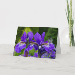 Tarjeta Fotografía floral de Iris sibirica