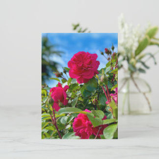 Tarjeta Fotografía floral de jardín soleado