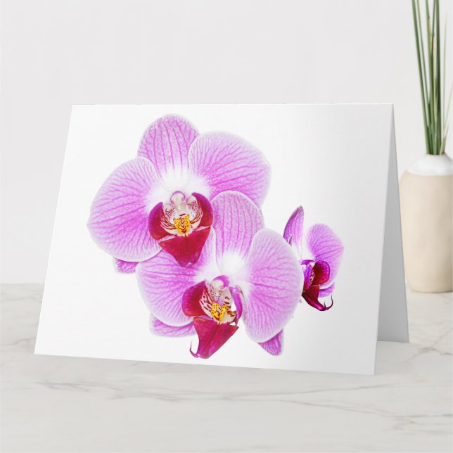 Tarjeta Fotografía floral radiante Orquídea de cierre (Anverso)