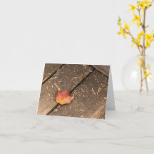 fotografía minimalista de hoja de arce de otoño