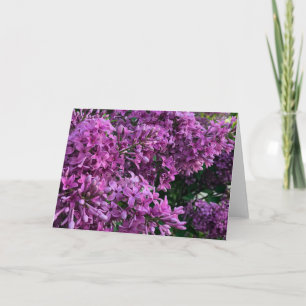 Tarjeta Fotografía morada floral lilacas púrpura
