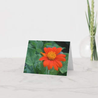 Tarjeta Fotografía Notecard