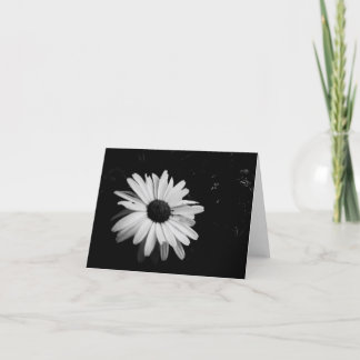 Tarjeta Fotografía Notecards