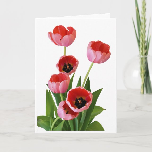 Tarjeta Fotografía rosada del ramo del tulipán de la (Anverso)