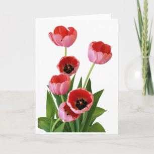 Tarjeta Fotografía rosada del ramo del tulipán de la
