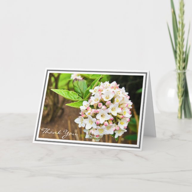 Tarjeta Fotografía Viburnum blanco con capuchas rosas y ol (Anverso)