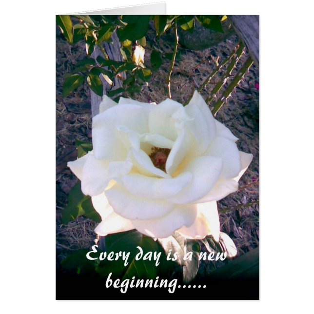 Tarjeta fotográfica 1 (Frente)