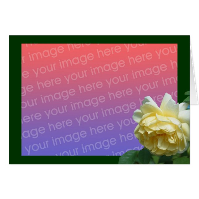 Tarjeta fotográfica amarilla con flores de rosa (Anverso (Horizontal))
