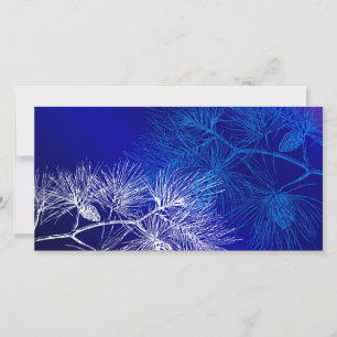 Tarjeta fotográfica Blue and White Winter Pine