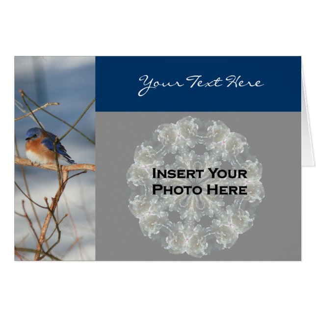 Tarjeta fotográfica Bluebird In Winter Nature (Anverso (Horizontal))