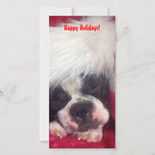 Tarjeta fotográfica Boston Terrier Happy Holidays