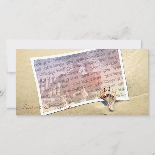 Tarjeta fotográfica Bright Beach Shell (Anverso)