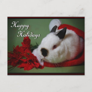 Tarjeta fotográfica "Bunny Navidades"