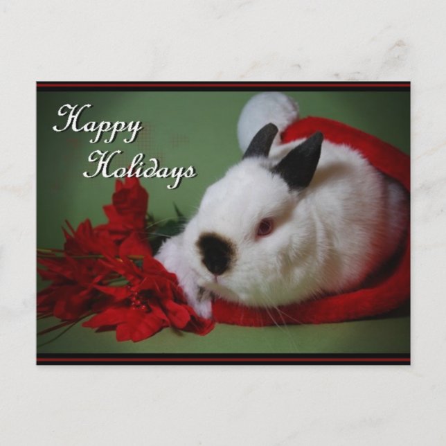 Tarjeta fotográfica "Bunny Navidades" (Anverso)