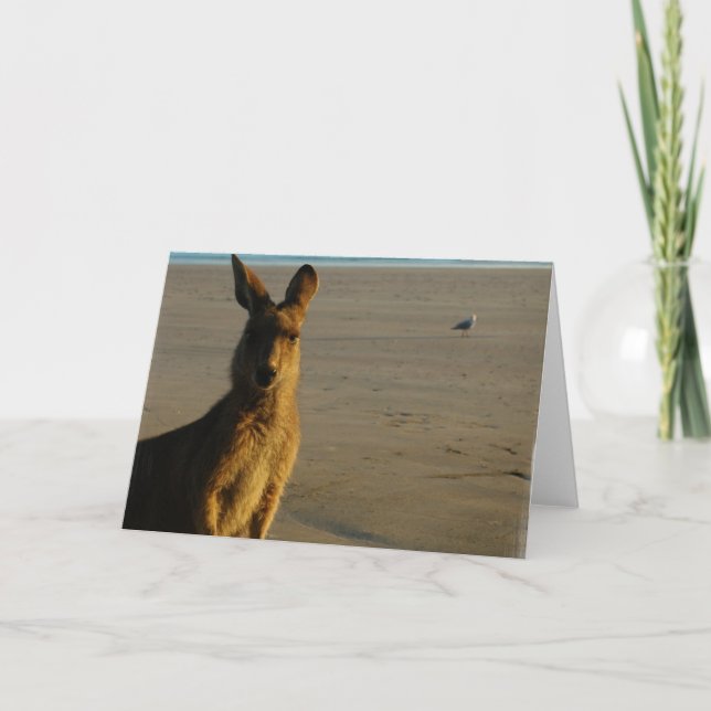 Tarjeta fotográfica canguro (Anverso)