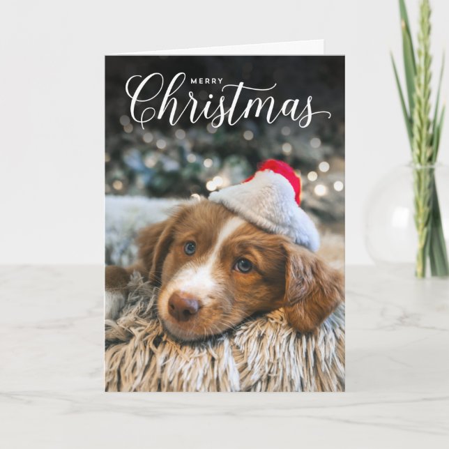 Tarjeta fotográfica Classic Merry Christmas Type (Anverso)