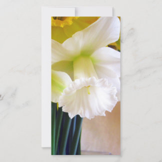 Tarjeta fotográfica Daffodil blanca