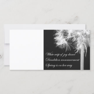 Tarjeta fotográfica Dandelion Haiku