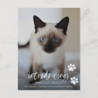 Tarjeta fotográfica de adopción para gatos o gatit