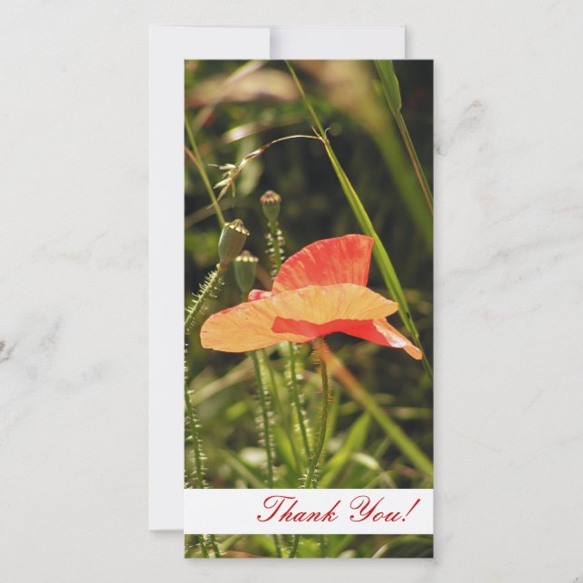 Tarjeta fotográfica de agradecimiento (Anverso)