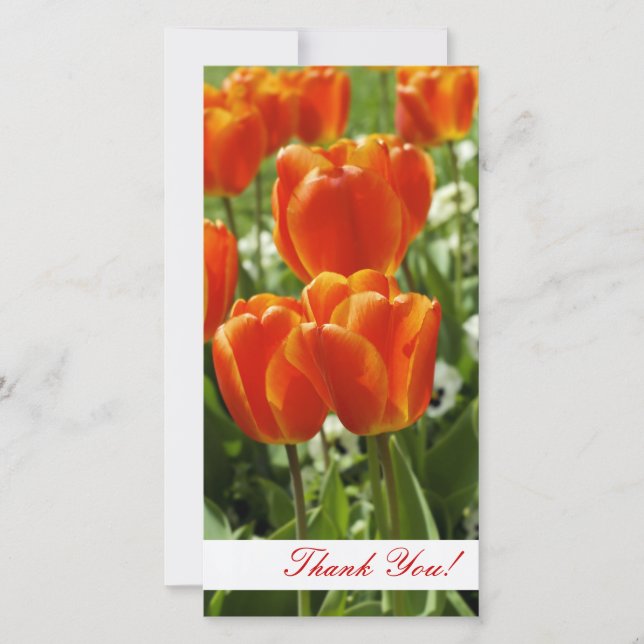 Tarjeta fotográfica de agradecimiento (Anverso)