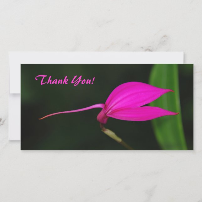 Tarjeta fotográfica de agradecimiento (Anverso)