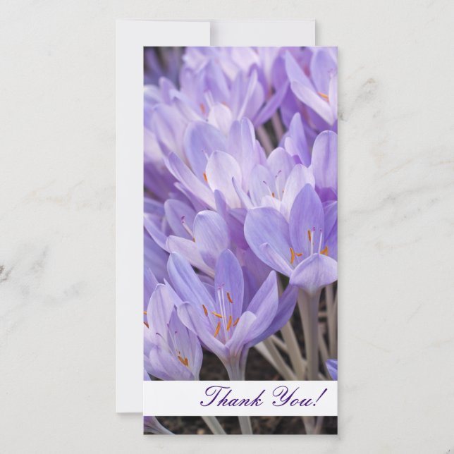 Tarjeta fotográfica de agradecimiento (Anverso)