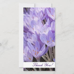 Tarjeta fotográfica de agradecimiento