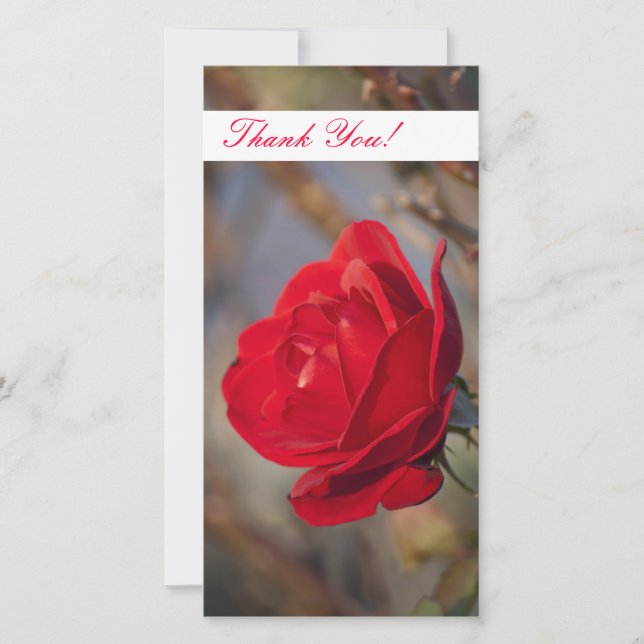 Tarjeta fotográfica de agradecimiento (Anverso)