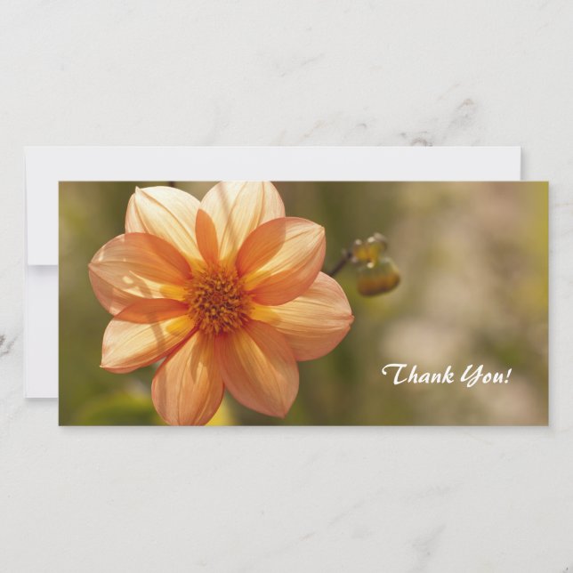 Tarjeta fotográfica de agradecimiento (Anverso)