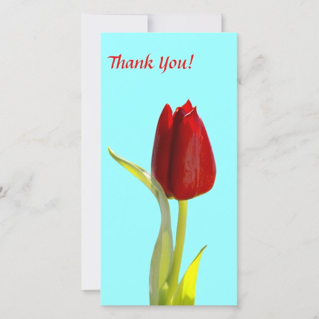 Tarjeta fotográfica de agradecimiento (Anverso)