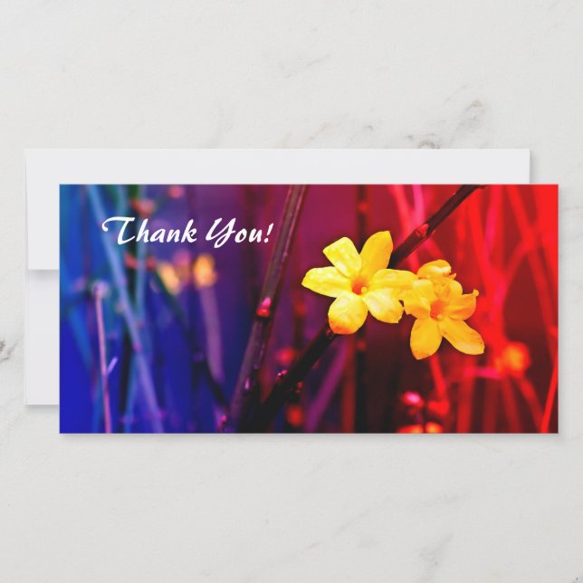 Tarjeta fotográfica de agradecimiento (Anverso)