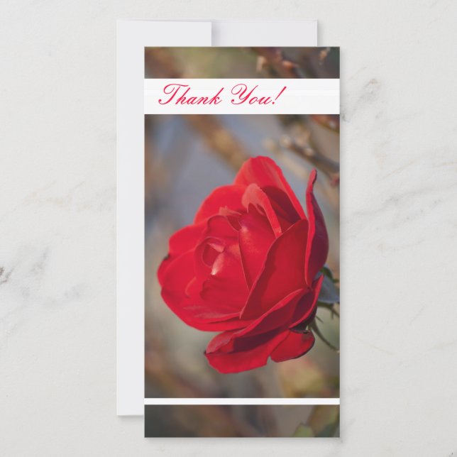 Tarjeta fotográfica de agradecimiento (Anverso)