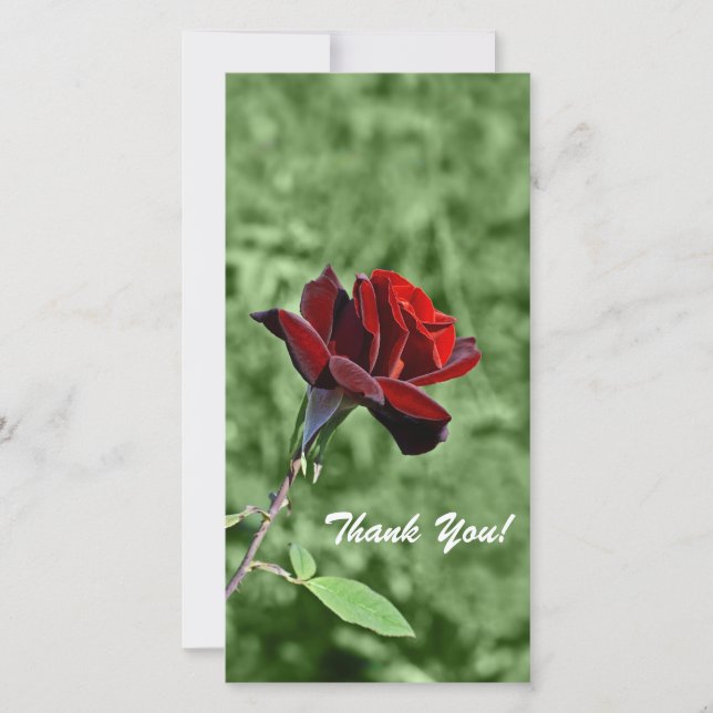 Tarjeta fotográfica de agradecimiento (Anverso)