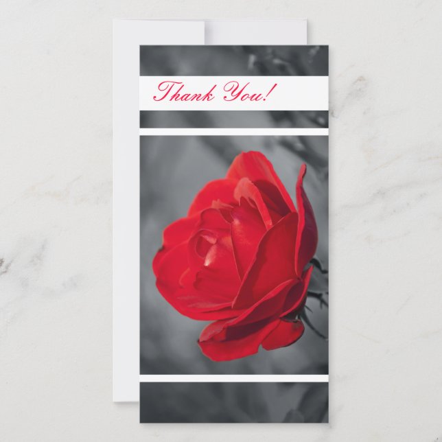 Tarjeta fotográfica de agradecimiento (Anverso)