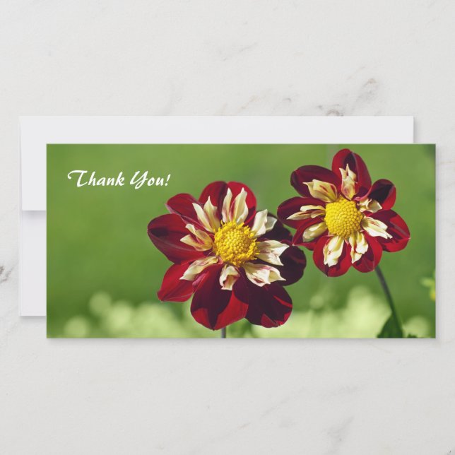 Tarjeta fotográfica de agradecimiento (Anverso)