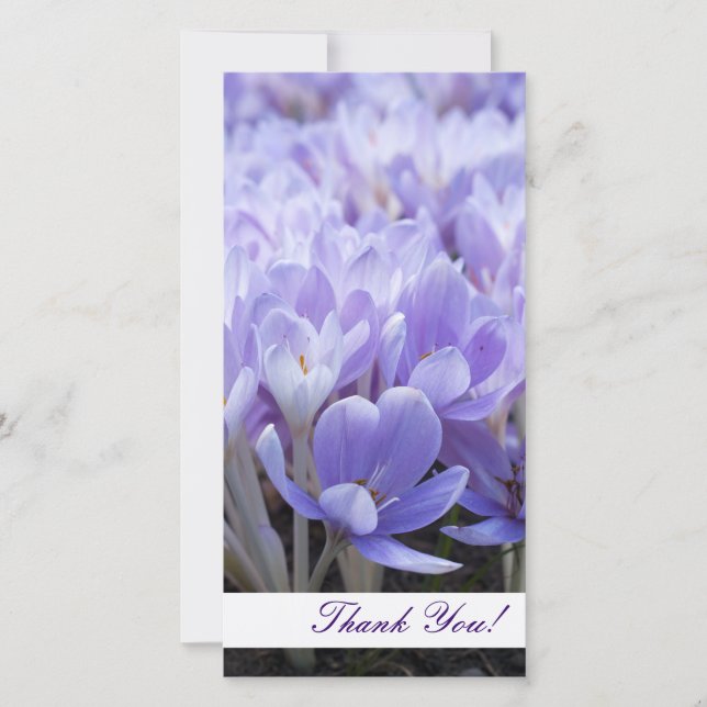 Tarjeta fotográfica de agradecimiento (Anverso)