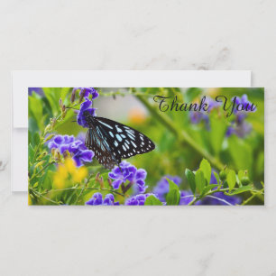 Tarjeta fotográfica de agradecimiento - Mariposa d