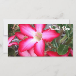 Tarjeta fotográfica de agradecimiento - Rosa del d