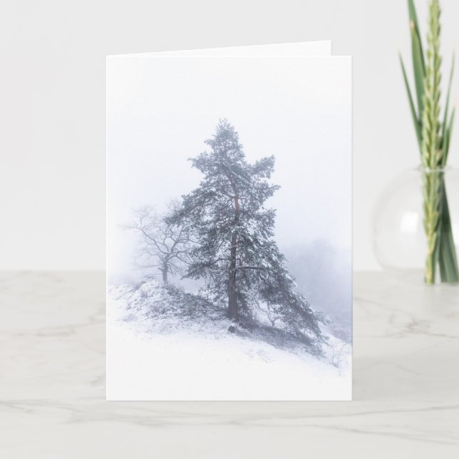 Tarjeta fotográfica de árbol cubierta de nieve (Anverso)