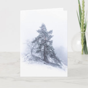 Tarjeta fotográfica de árbol cubierta de nieve